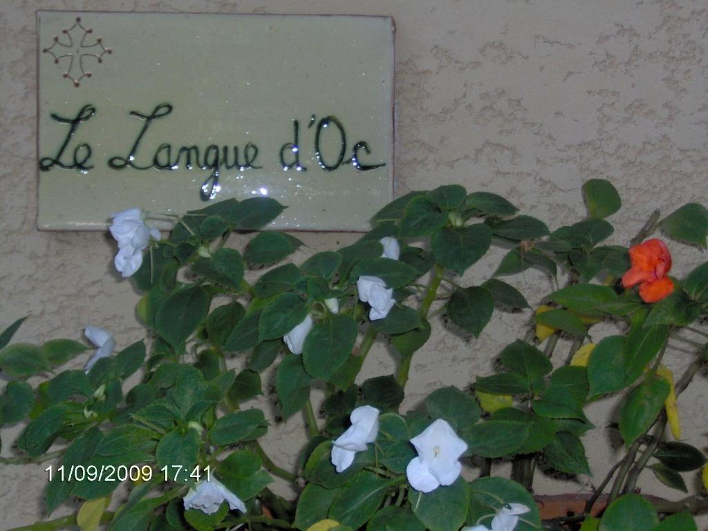 Hotel Le Langue D'Oc Agde Exteriér fotografie